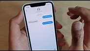 iPhone 11 Pro: How to Know if SMS Text Message Has Been Delivered and View the Timeline