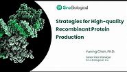 Strategies for High-quality Recombinant Protein Production