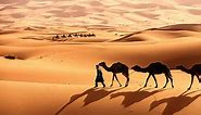 Learn All About the Sahara, the World's Largest Hot Desert