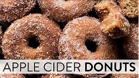 Baked Apple Cider Donuts | Sally's Baking Recipes