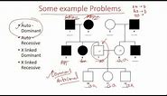 Pedigree Analysis methods - dominant, recessive and x linked pedigree