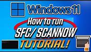 How to Run SFC /Scannow Command to Fix Problems on Windows 11 [Tutorial]