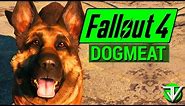 FALLOUT 4: Dogmeat COMPANION Guide! (Everything You Need to Know About Dogmeat)