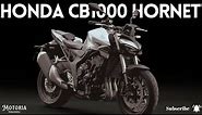 2024 Honda CB1000 Hornet: The King of Street Fighters Is Back | Peak Power More than 147 Hp