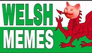 Welsh Memes - Memes Cymraeg