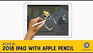 iPad 2018 Review - An Illustrator's Take
