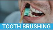 Teeth Brushing - Brush Your Teeth Twice A Day