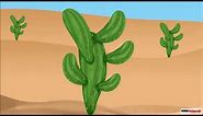 Adaptations in Plants | Plants Adapted to Deserts | Class 4 Science