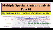 Multiple organisms Synteny analysis Part 1 | Synteny analysis for more than two species