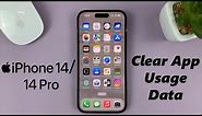 iPhone 14/14 Pro: How To Clear App Usage Data