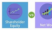 Shareholder Equity vs Net Worth | Top 5 Differences You Must Know!
