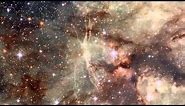 Hubble Spies On The Tarantula Nebula