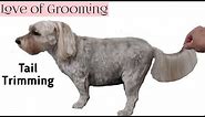 How to Trim a Tail on a Drop Coated Dog