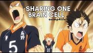 nishinoya, tanaka, & hinata sharing one brain cell | FUNNY HAIKYUU!! VIDEOS
