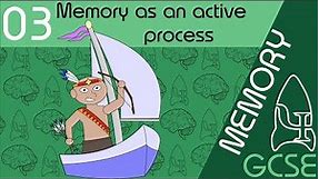 Memory as an active process - Memory, GCSE Psychology [AQA]