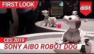 CES 2019: Sony Aibo Robot Dog First Look | Digit.in