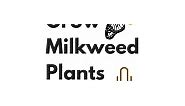 Virginia Native Milkweed