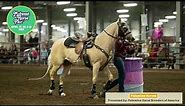 Gorgeous Palomino Horses at Midwest Horse Fair!