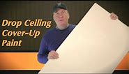 Drop Ceiling Touch-Up Paint Review: Armstrong vs Kilz Upshot