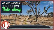 Ride-Along Through MOJAVE NATIONAL PRESERVE: Old Relics & Beautiful Nature Scenery