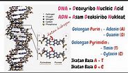 SUBSTANSI GENETIKA PART 1 (GEN, DNA, KROMOSOM)
