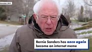 Bernie Sanders accidentally enters TikTok video, becoming a meme once again
