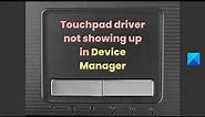 Touchpad driver not showing up in Device Manager of Windows 11/10