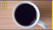 Caffeine 101 | National Geographic