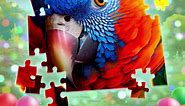 Puzzles can convey all the... - Magic Jigsaw Puzzles