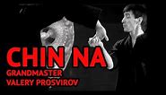 Chin Na is Chinese Martial Arts Techniques to Control or Lock Opponent's Joints
