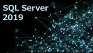 Install SQL Server 2019 Step by Step | Developer Edition | Free Software | Install SSMS