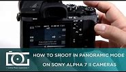 SONY a7 II TUTORIAL | How To Shoot in Panoramic Mode on Sony Alpha 7 II Cameras
