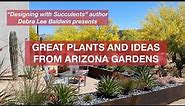 Great Plants and Ideas from Arizona Gardens