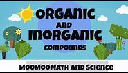 Difference between Organic and Inorganic Compounds