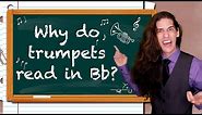 Concert Pitch and Transposing?? Your Music Theory Homework (Episode 4)