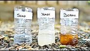 3 DIY Mosquito Trap Comparison Yeast vs Soap vs Borax