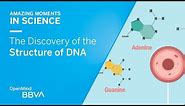 The Discovery of the Structure of DNA | AMS OpenMind