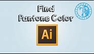 How to find pantone color code in Adobe Illustrator