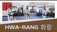 Hwa-Rang 화랑 | Brown Belt Taekwondo America Form