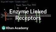Enzyme Linked Receptors | Nervous system physiology | NCLEX-RN | Khan Academy