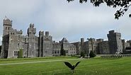 Review: Ashford Castle, Ireland