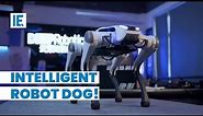 How Robot Dogs Are Changing Everything