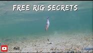 "Unlocking the Secrets of Free Rig Bass Fishing: Dive into the Depths with Underwater Footage!"