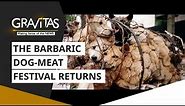Gravitas: China's Yulin dog meat festival is back