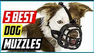 Best Dog Muzzles 2021 [Top 5 Picks]