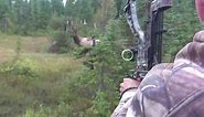 The best archery shots on video, bowhunting - StuckNtheRut