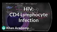 How HIV infects us: CD4 (T-helper) lymphocyte infection | NCLEX-RN | Khan Academy