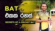 Various Parts of Cricket Bat | Fielding JayA