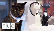 A Cat Cake, For a Cat Wedding! | Cake Boss, Season 9