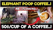 World's most expensive COFFEE is made with elephant poop / Dung | Why it is so Expensive..?